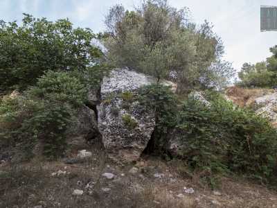 ...proviamo a scendere nella lama per andare a scoprire la �grotta della Tartaruga�, un sito che nasconde al suo interno un circuito architettonico scavato dall�uomo in epoca neolitica. L�ingresso della grotta risulta per� ostruito da grossi massi: non riusciamo cos� a visitarne l�interno